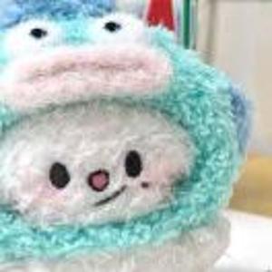 赵田田