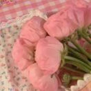 GGGGAN-