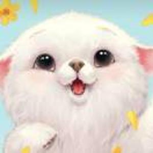 暖宝